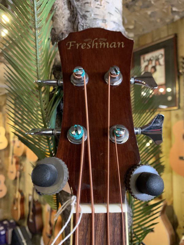 freshman electro acoustic bass